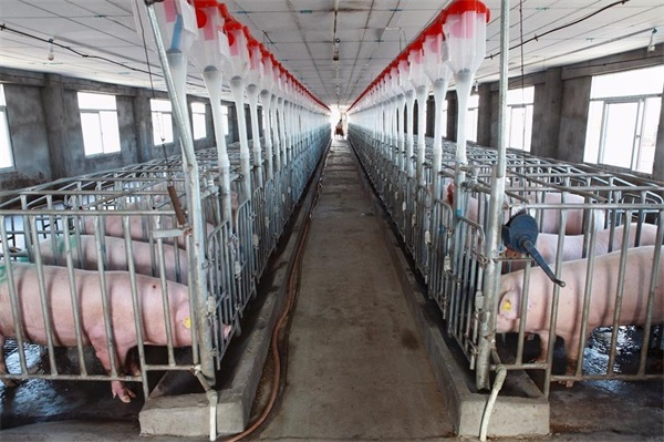 空氣能養殖熱泵的耐用性如何