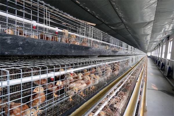 商用采暖工程選什么熱源設備效果更佳