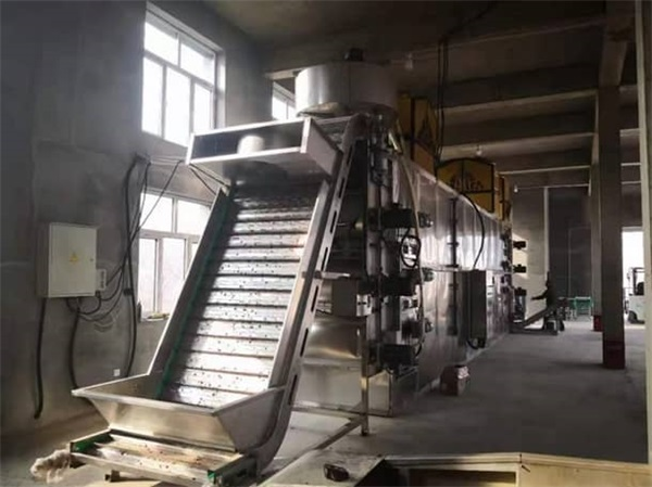 用空氣能熱泵烘干機組制作山楂干的真實效果