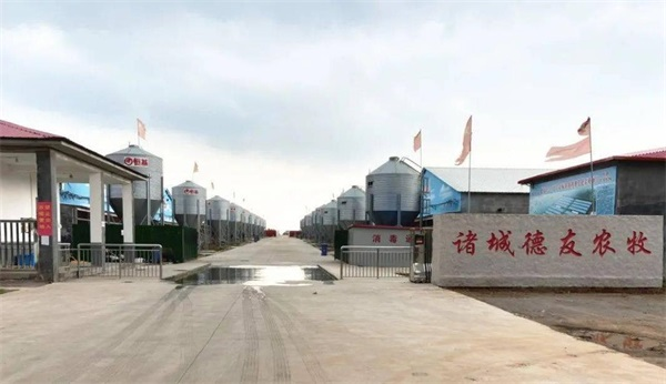 助力綠色畜禽養殖：華天成低溫熱泵解決耗能問題