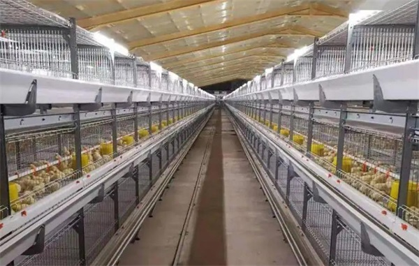 溫暖過寒冬：華天成空氣能熱泵深受養殖大棚喜愛