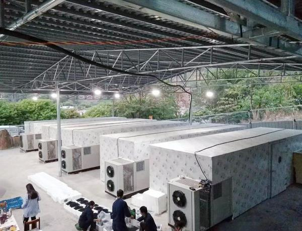 一鍵烘干，空氣能熱泵助力農產品加工產業