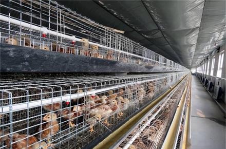 南陽(yáng)養(yǎng)雞大棚信賴的空氣能熱泵采暖工程建設(shè)廠家