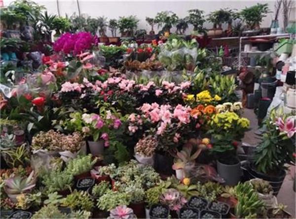 恒溫更經濟，空氣能為大棚種植保駕護航