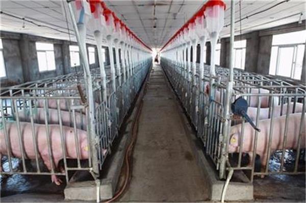 山東養(yǎng)殖大棚采用空氣能熱泵呈現(xiàn)顯著成果