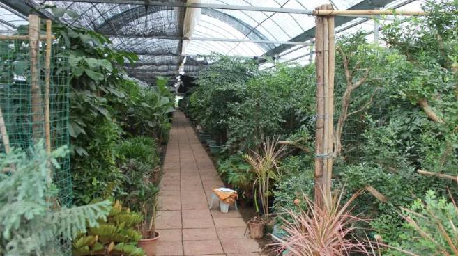 空氣能熱泵技術(shù)助大棚種養(yǎng)殖恒溫，助農(nóng)戶節(jié)能增收