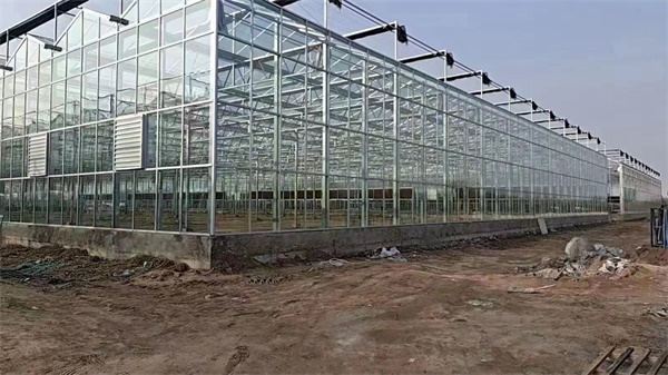 科技助力農(nóng)業(yè)革新：空氣能大棚種植引領(lǐng)新潮流