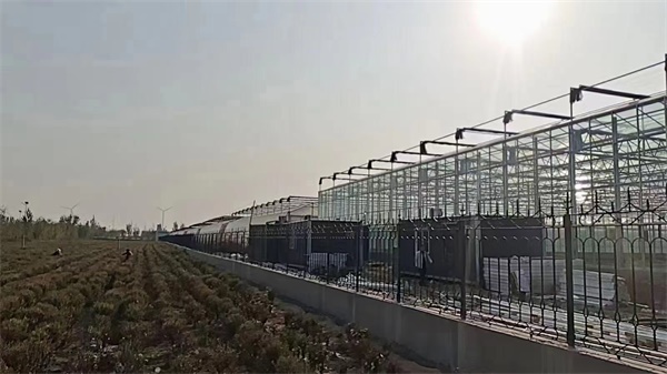 空氣能大棚種植，開啟綠色農業新時代