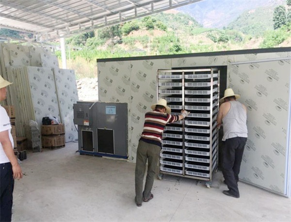 空氣能烘干，農產品加工的智能升級方式