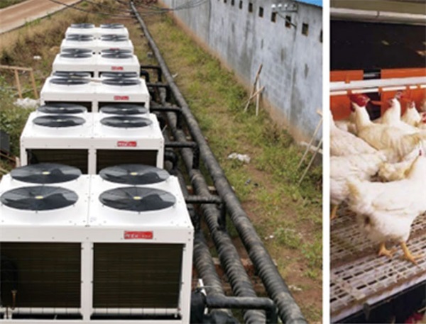 環(huán)保高效的空氣能熱泵養(yǎng)殖恒溫方案