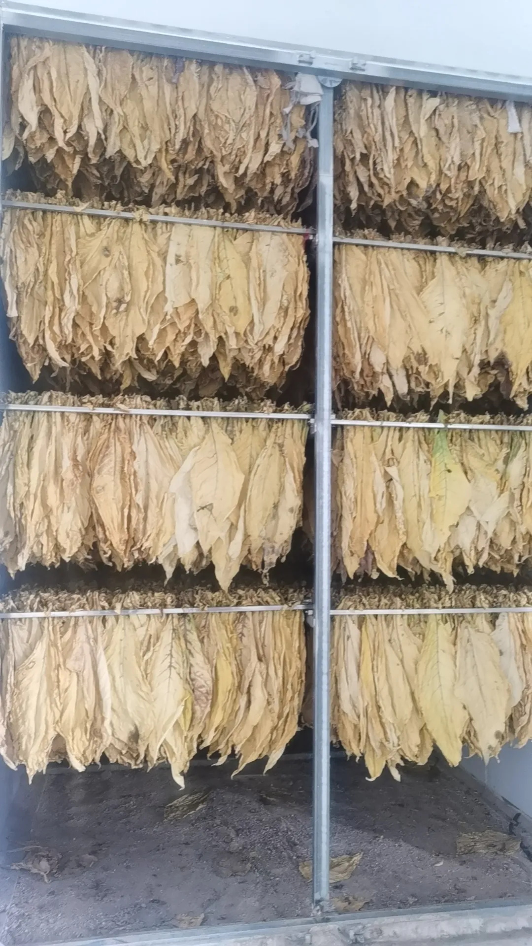 云南多地革新傳統(tǒng)烘干——華天成2000套烘干項(xiàng)目助力農(nóng)戶降本增效！