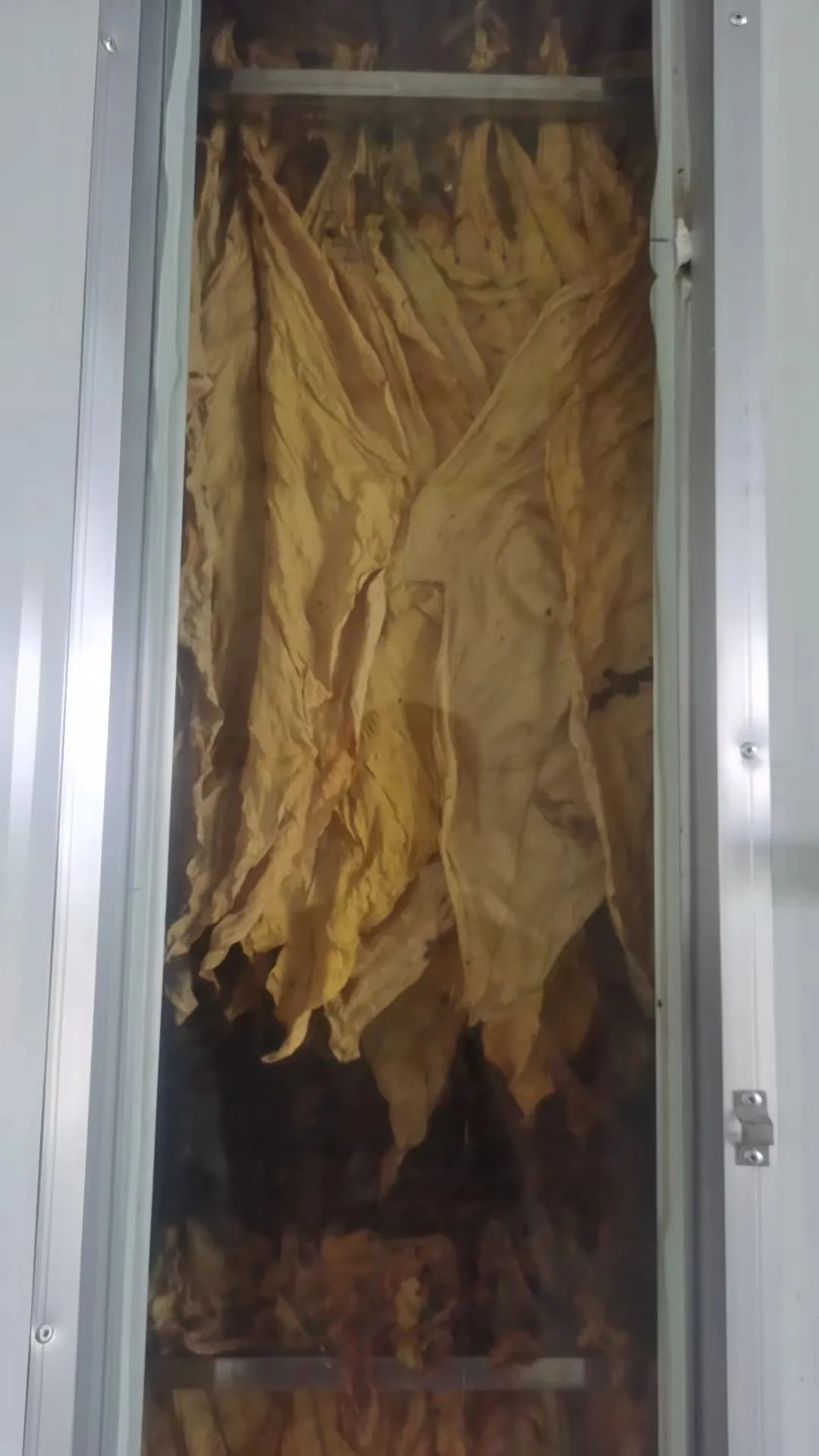 云南多地革新傳統(tǒng)烘干——華天成2000套烘干項(xiàng)目助力農(nóng)戶降本增效！