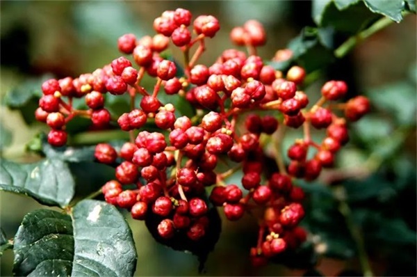 高效節能的空氣能熱泵烘干機組