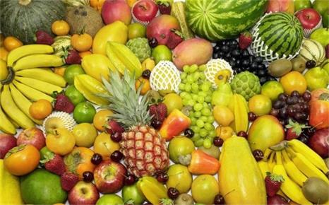 方便易使用的果干空氣能烘干機推薦