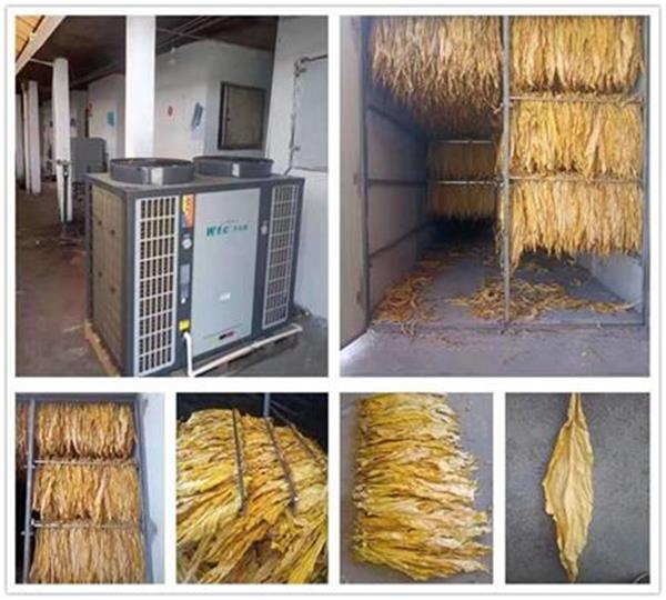專用煙葉空氣能烘干熱泵：科技引領煙草產業綠色變革
