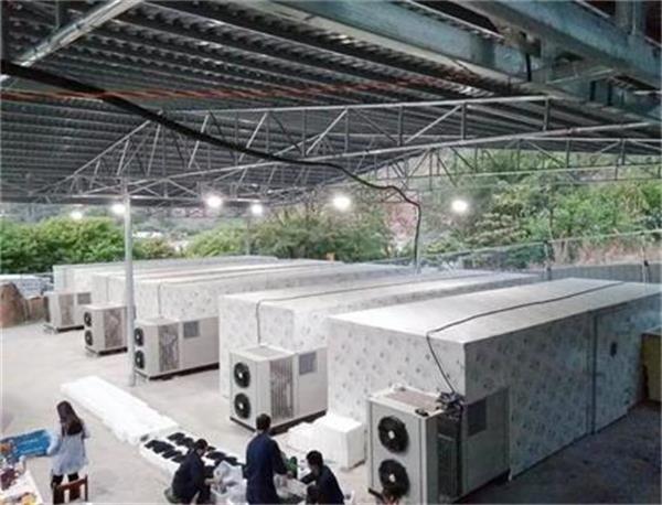 空氣能熱泵烘干機：節能與高效的完美結合