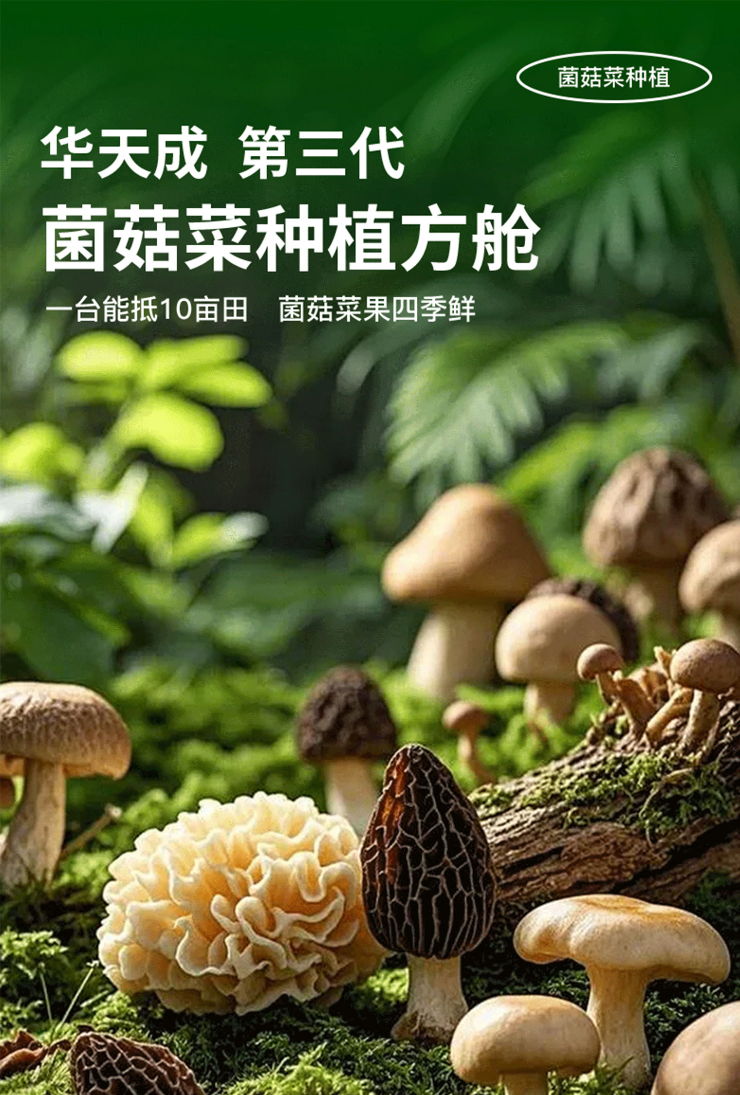 菌菇菜種植方艙